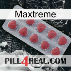 Maxtreme 18